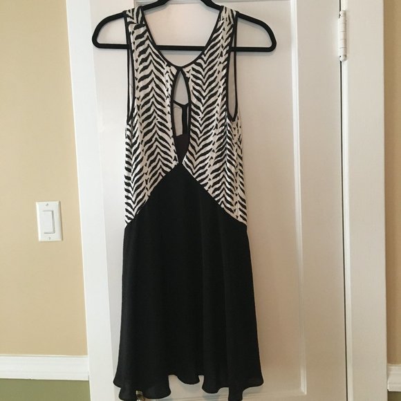 Free People Black/White Zebra Swing Dress - Picture 2 of 3